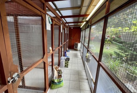 cattery-licensed-for-40-cats-in-hertfordshire-586859
