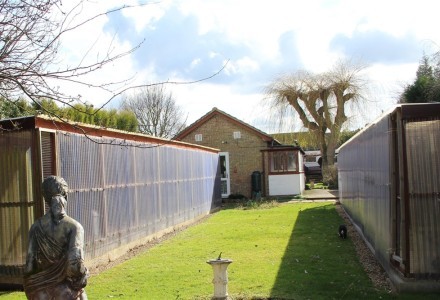 highly-regarded-cattery-with-owners-residence-in-p-588856