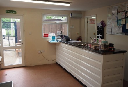 kennels-and-cattery-in-warwickshire-589994