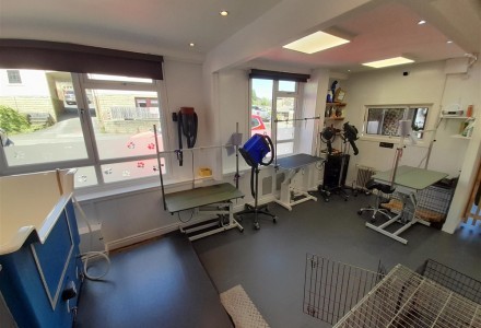 pristine-and-busy-dog-groomers-in-bradford-589991